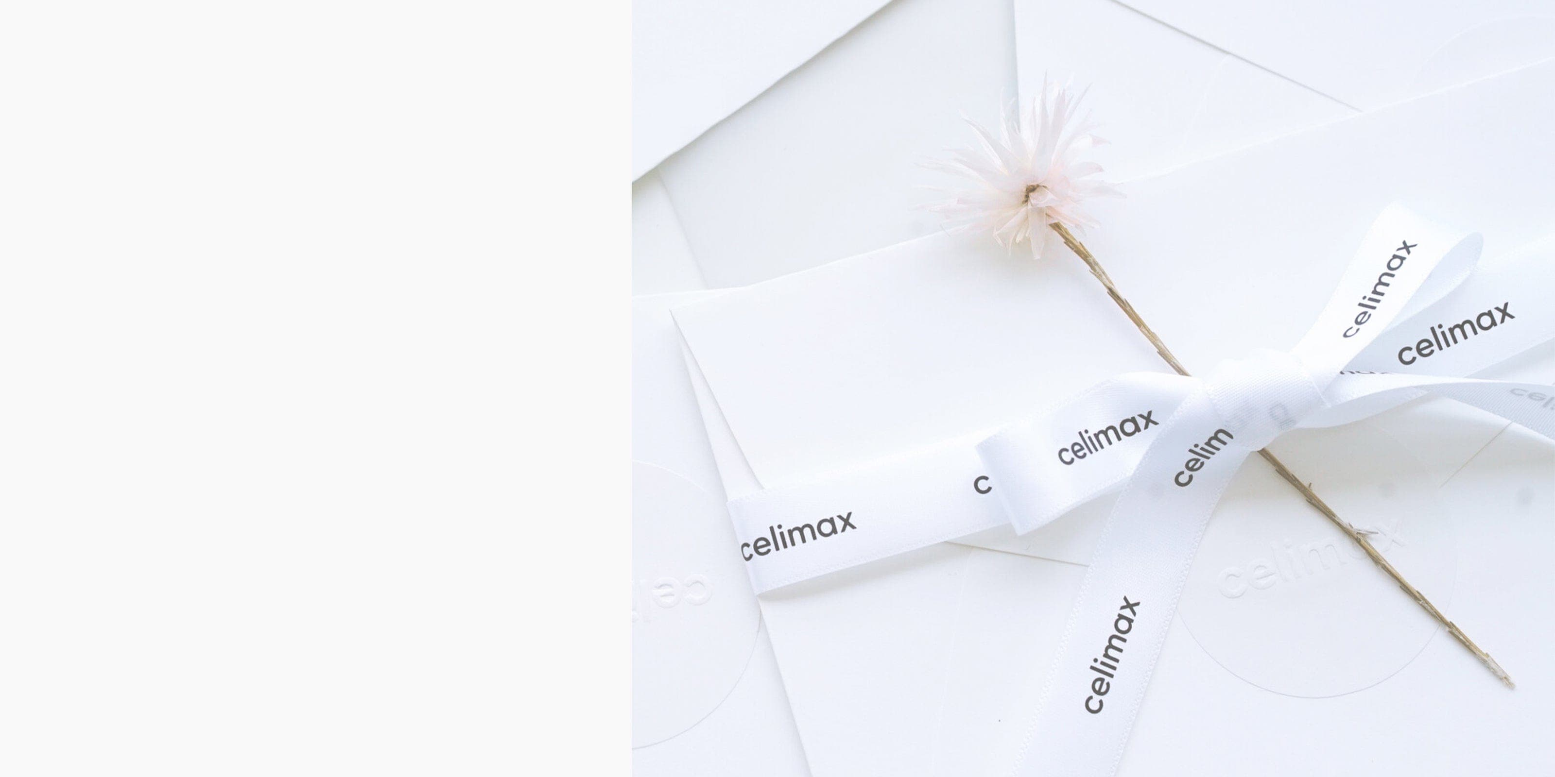 Newsletter campaign